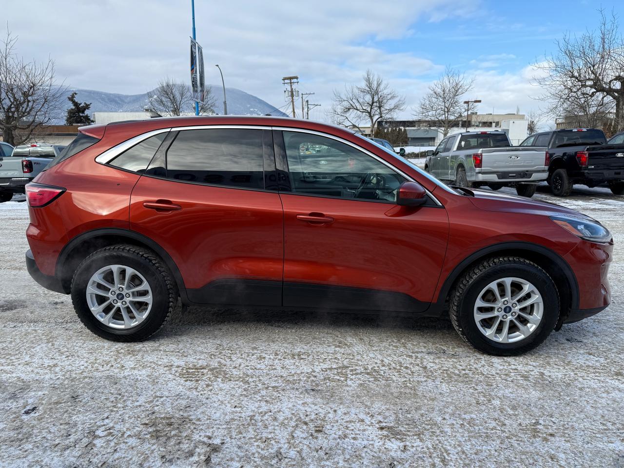 2020 Ford Escape SE Photo5