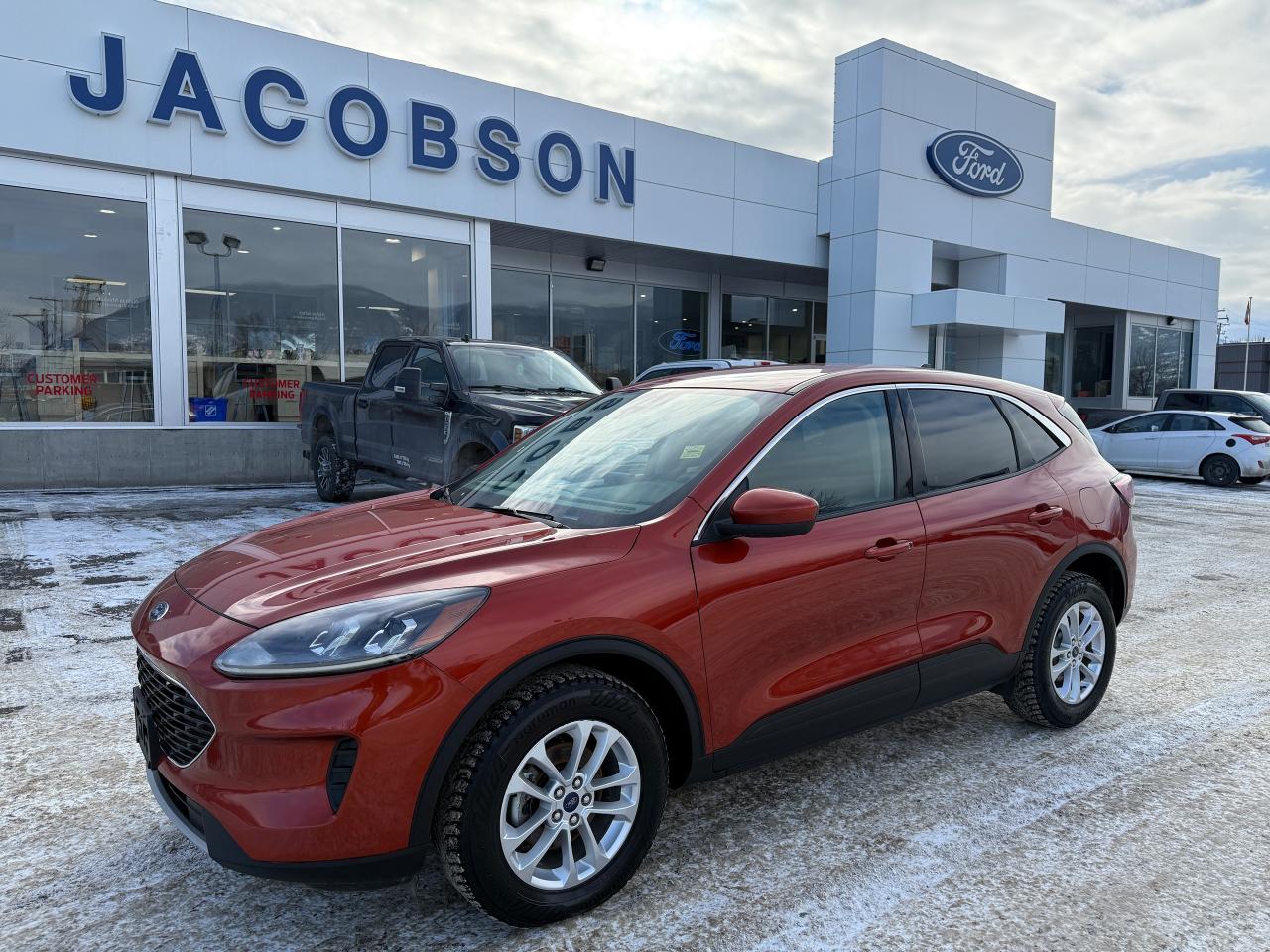 Used 2020 Ford Escape SE for sale in Salmon Arm, BC