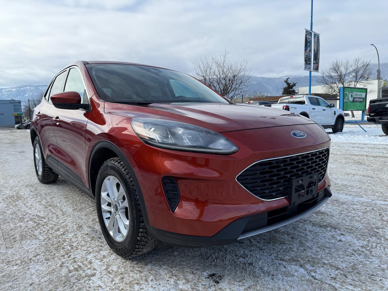 2020 Ford Escape SE Photo5