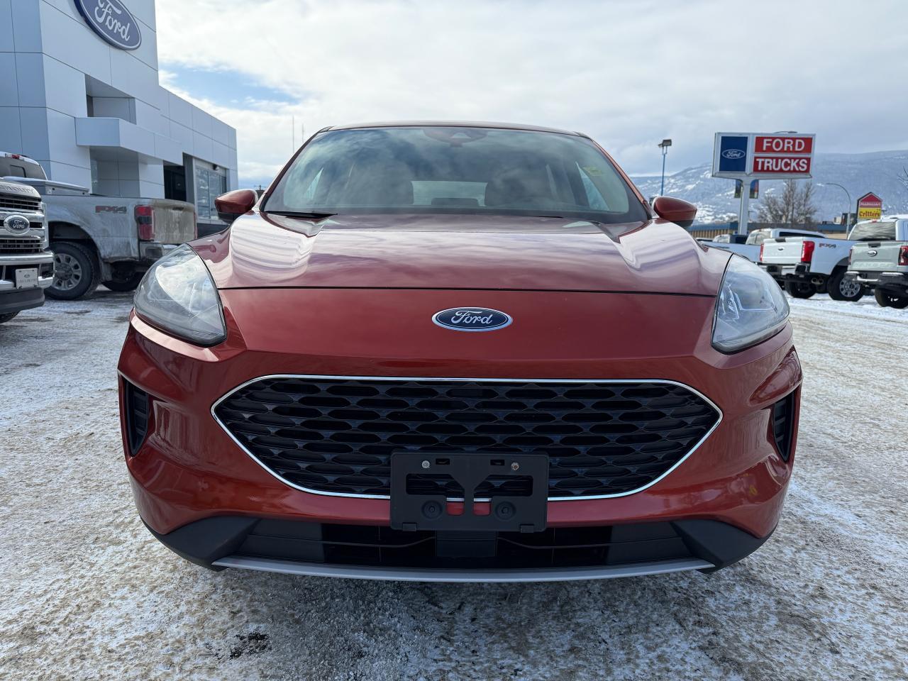 2020 Ford Escape SE Photo5