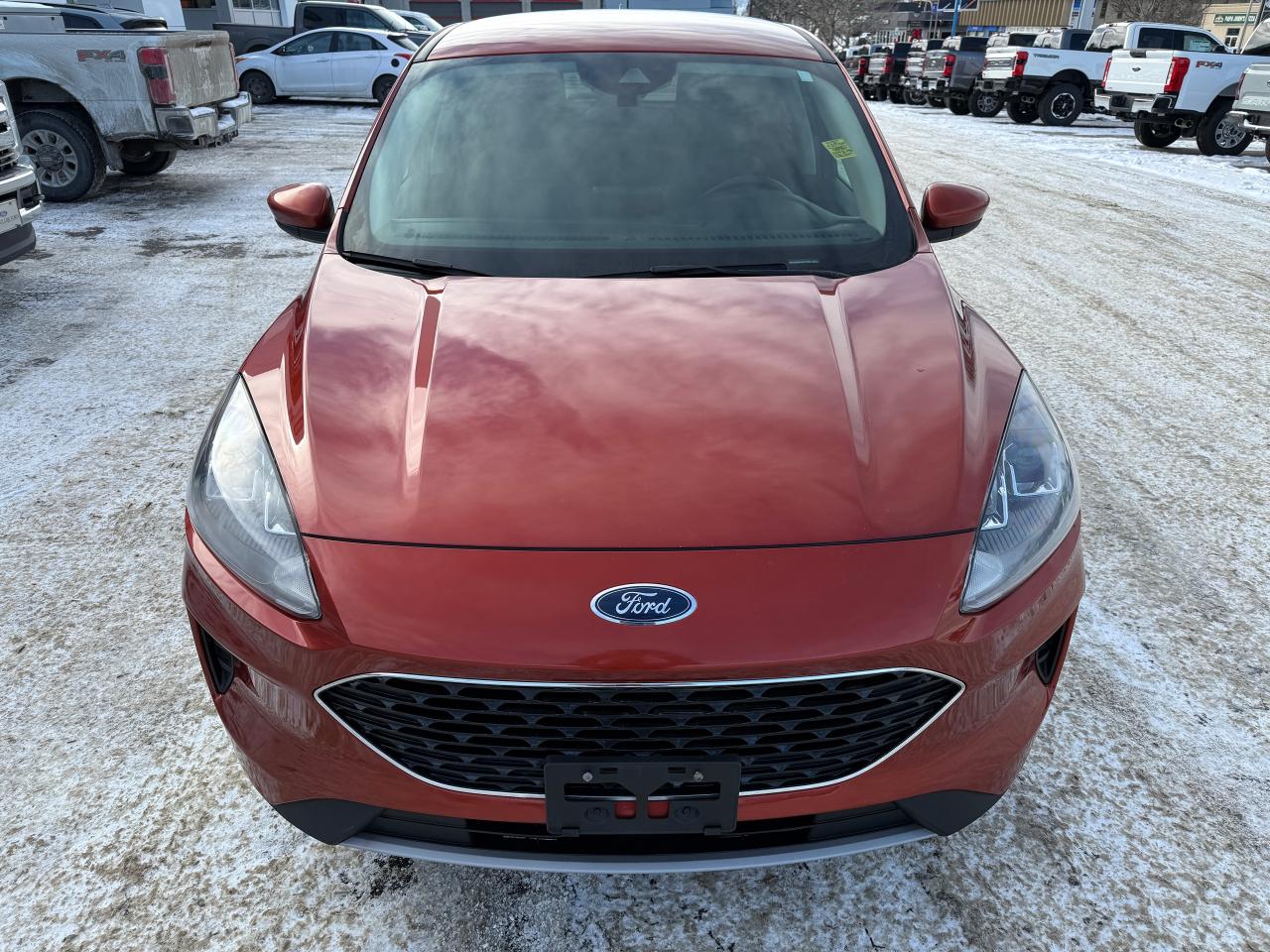 2020 Ford Escape SE Photo5