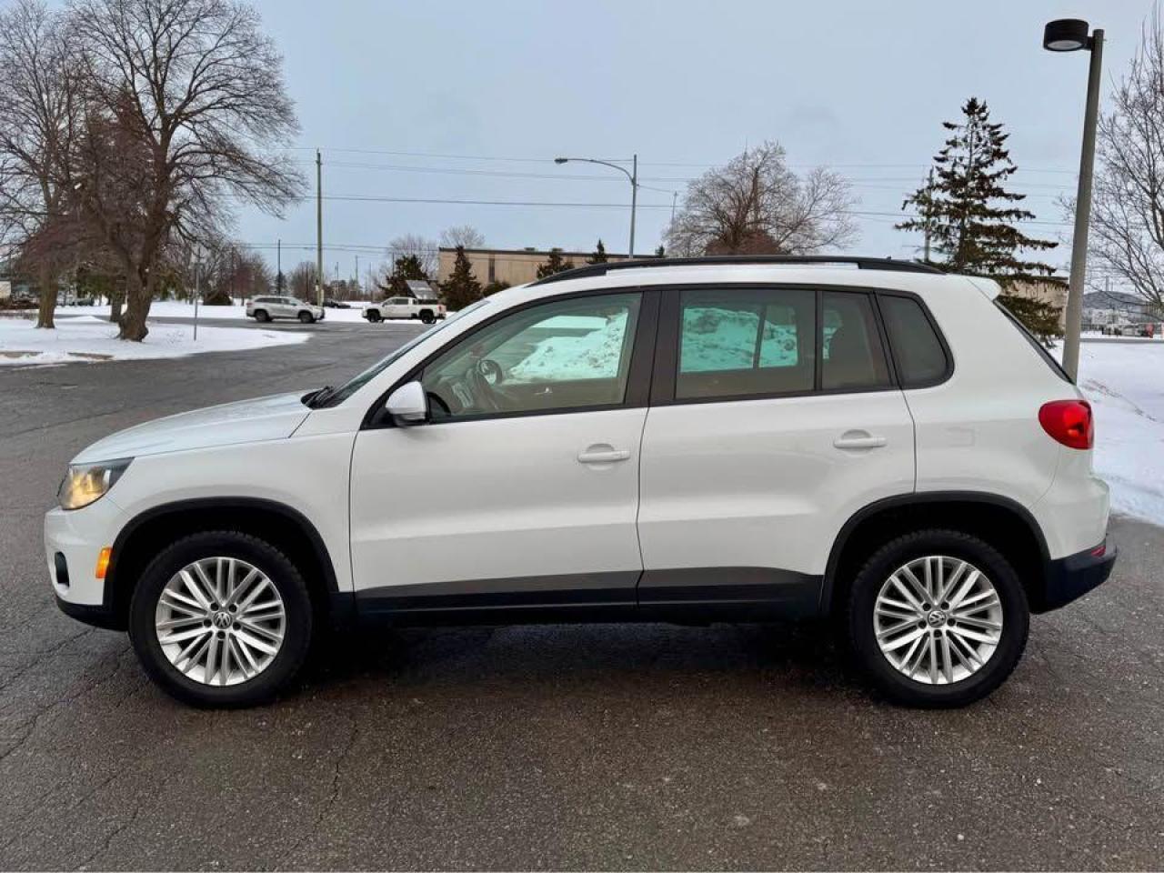 2016 Volkswagen Tiguan AWD-Certified - Photo #8