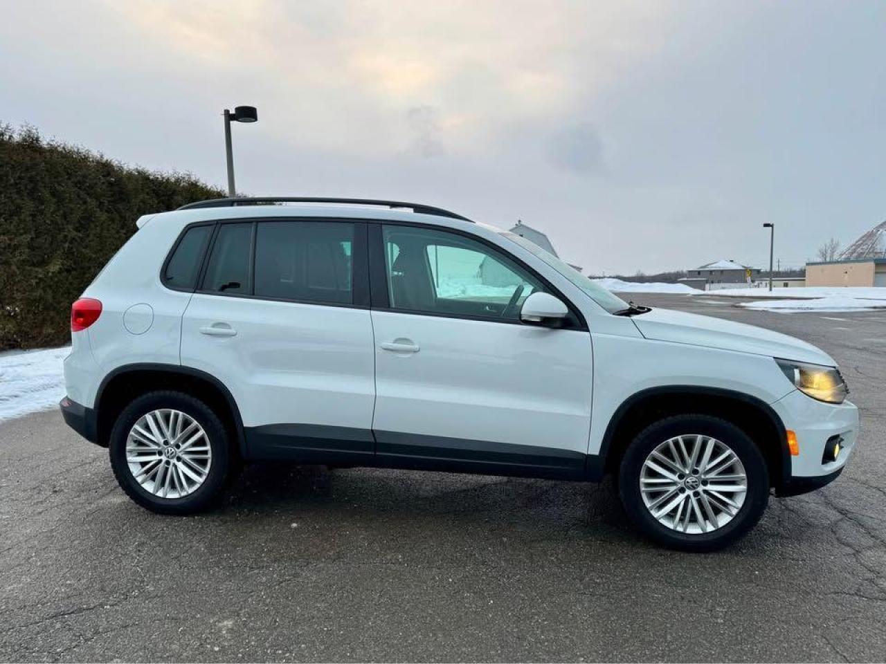 2016 Volkswagen Tiguan AWD-Certified - Photo #9
