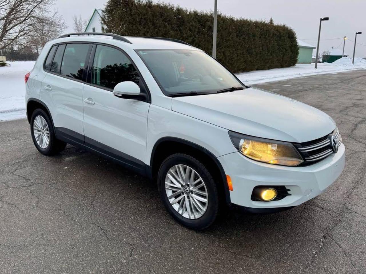 2016 Volkswagen Tiguan AWD-Certified - Photo #16