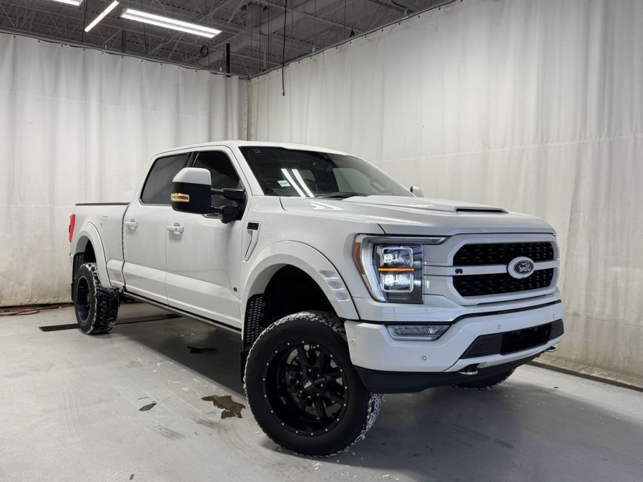 Used 2022 Ford F-150 PLATINUM for sale in Sherwood Park, AB