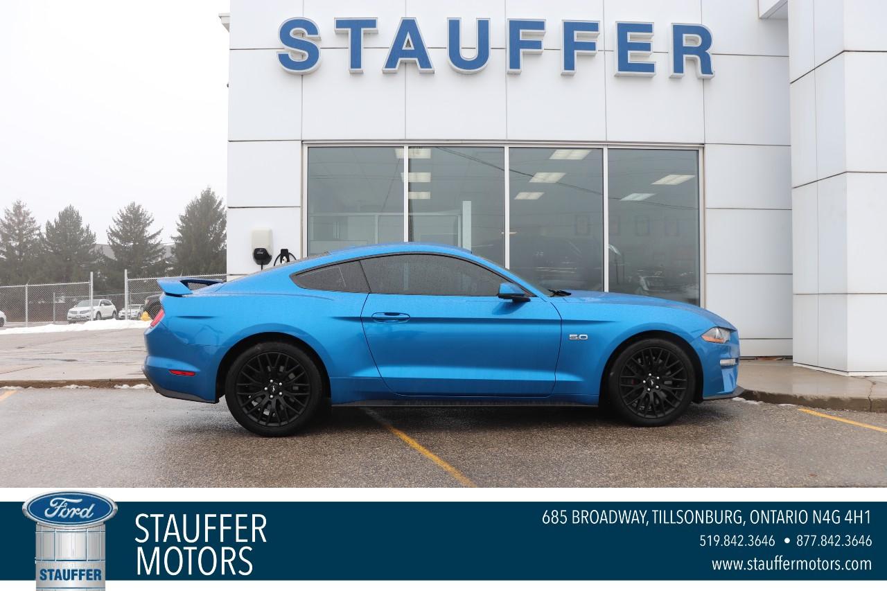 Used 2019 Ford Mustang GT Premium Fastback for sale in Tillsonburg, ON