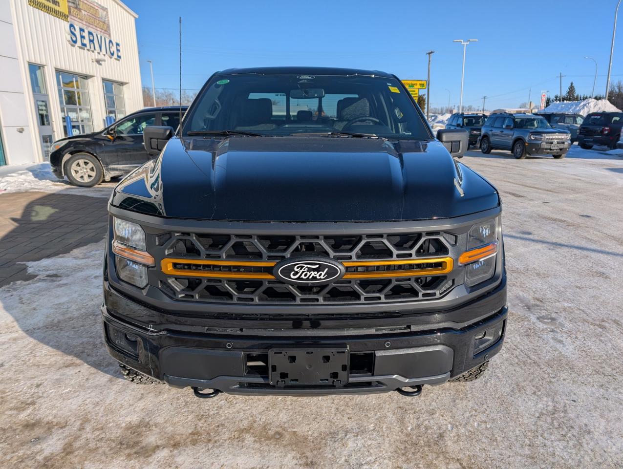 2025 Ford F-150 Tremor Photo