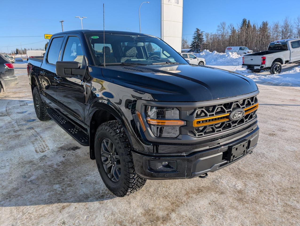 2025 Ford F-150 Tremor Photo