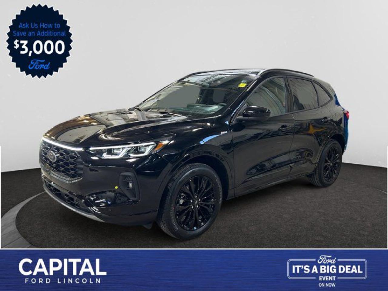 New 2025 Ford Escape ST-Line Elite for sale in Regina, SK