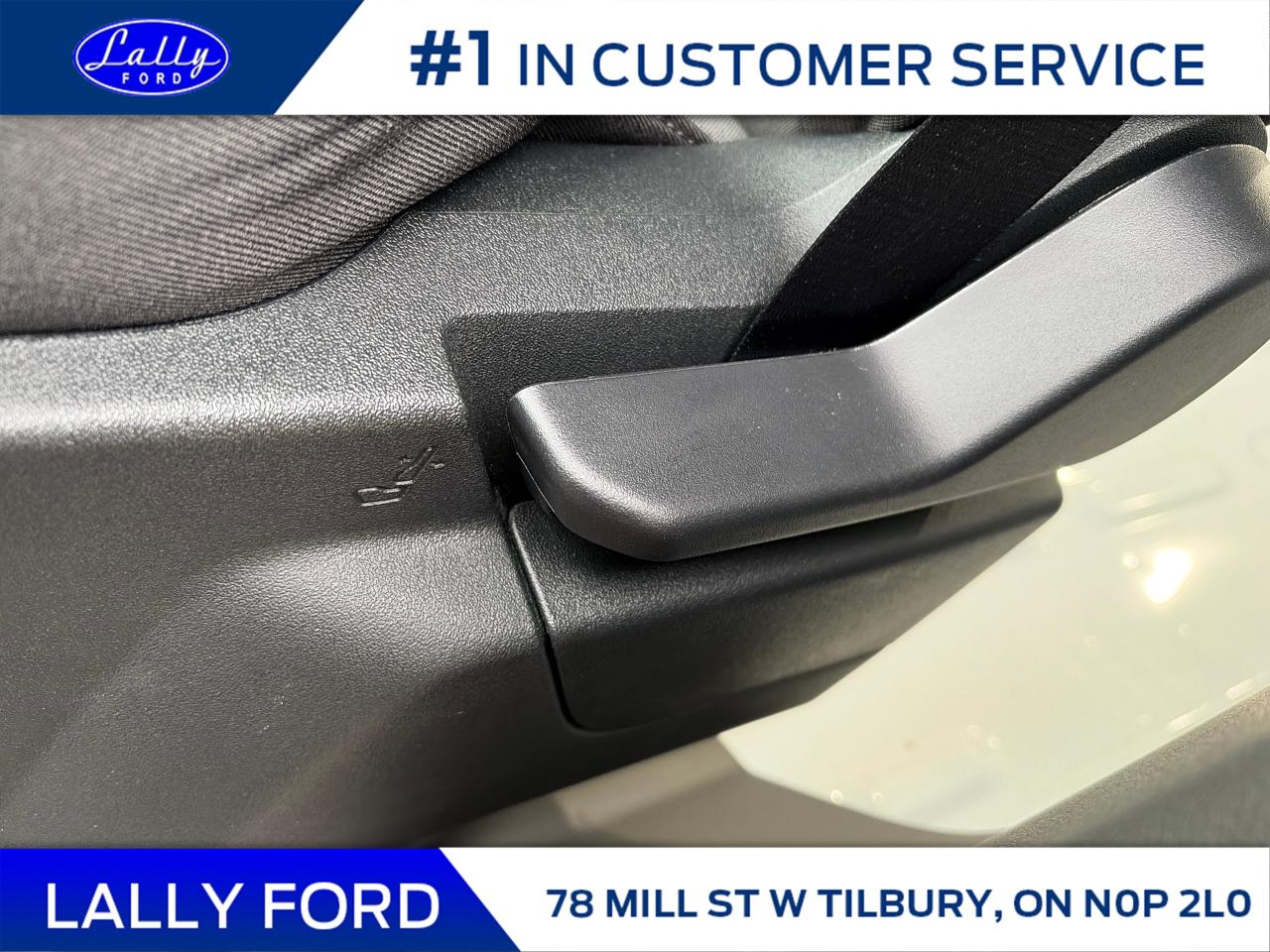 2024 Ford Transit 250  Photo