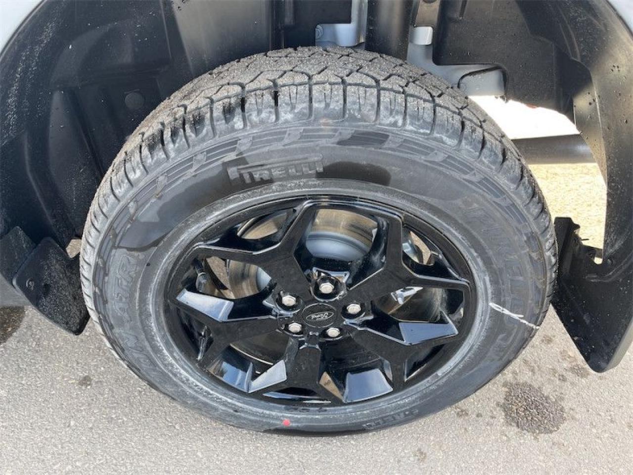 2025 Ford Maverick XLT  - Sunroof Photo5