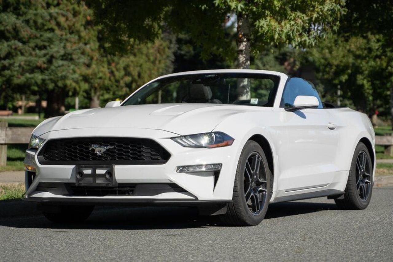 Used 2023 Ford Mustang EcoBoost Premium for sale in Surrey, BC