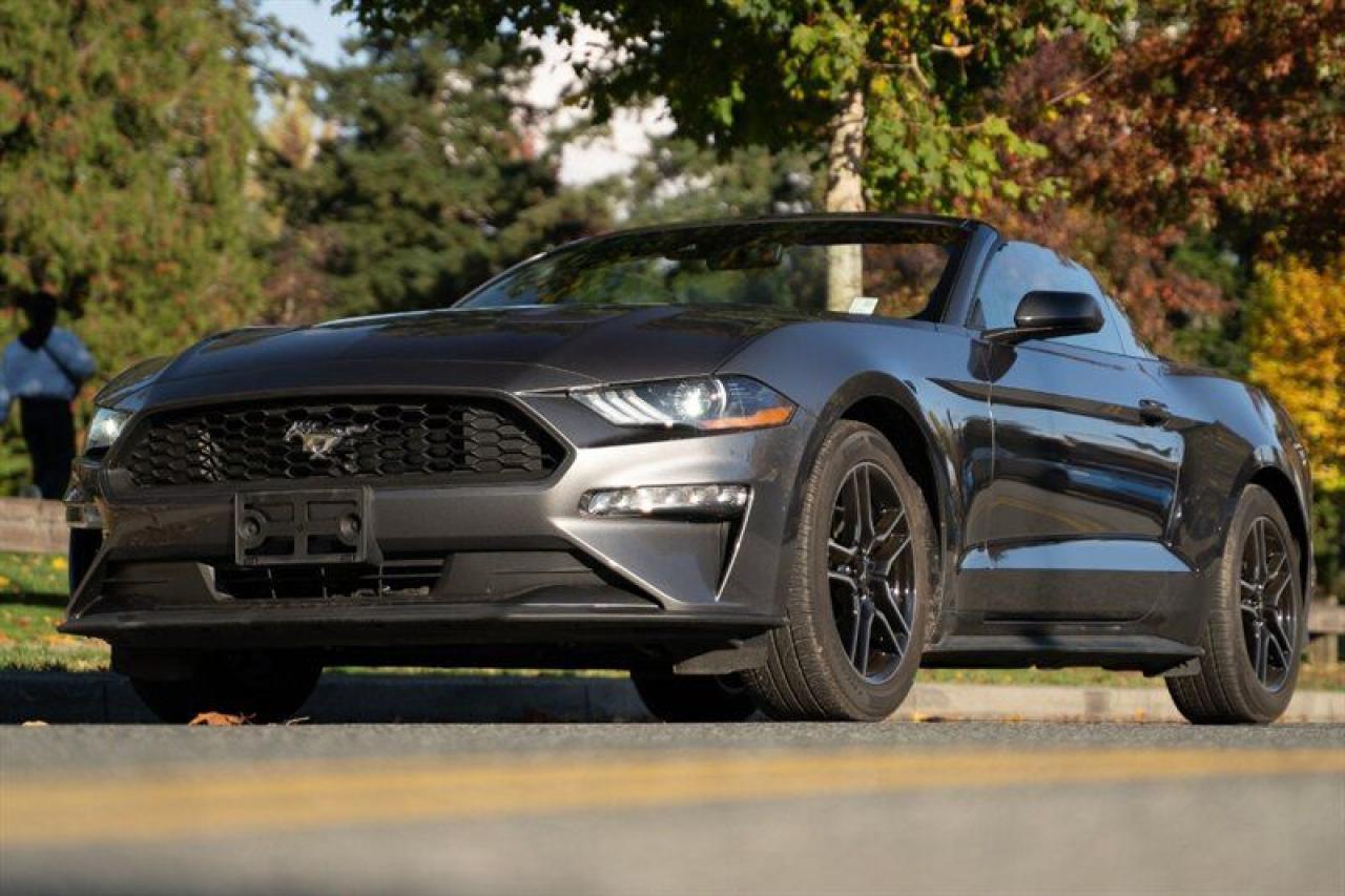 Used 2023 Ford Mustang EcoBoost Premium for sale in Surrey, BC