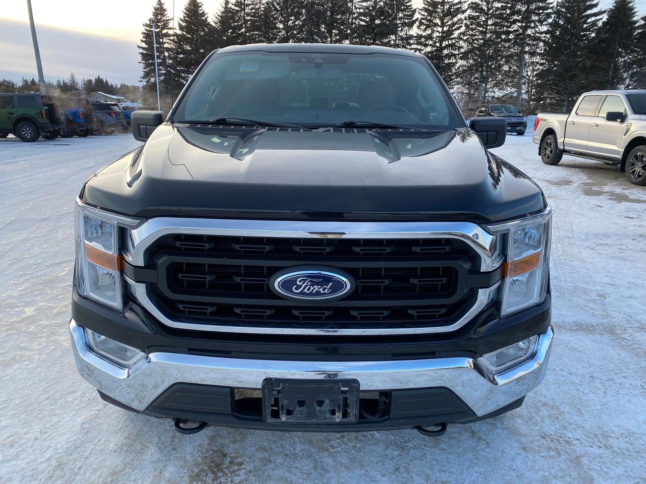 2021 Ford F-150 XLT Photo