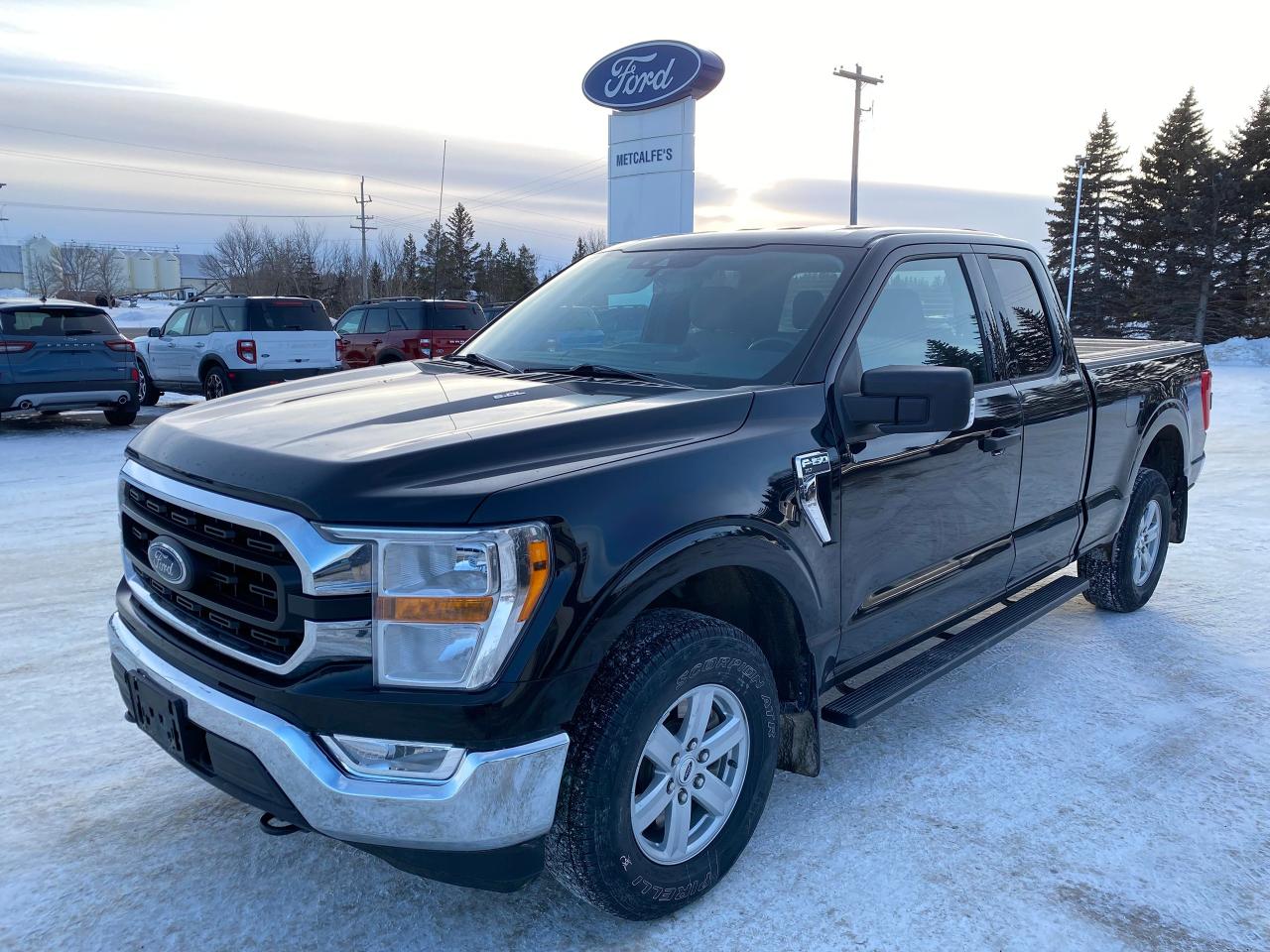 2021 Ford F-150 XLT Photo