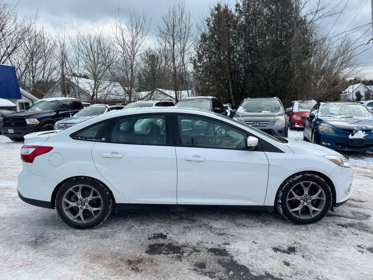 2014 Ford Focus SE - Photo #8