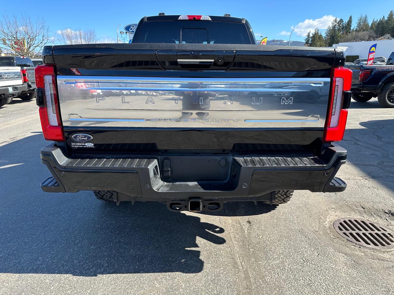 2024 Ford F-350 Super Duty SRW PLATINUM Photo5