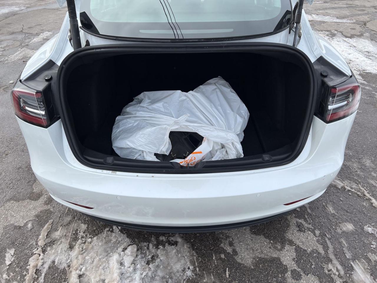 2021 Tesla Model 3 STANDARD RANGE PLUS - Photo #28