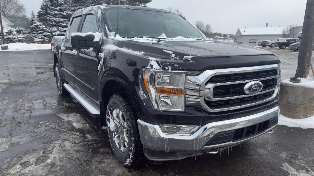 2021 Ford F-150  Photo