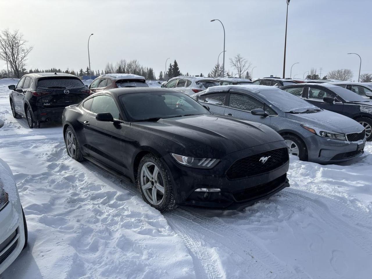 Used 2016 Ford Mustang  for sale in Sherwood Park, AB