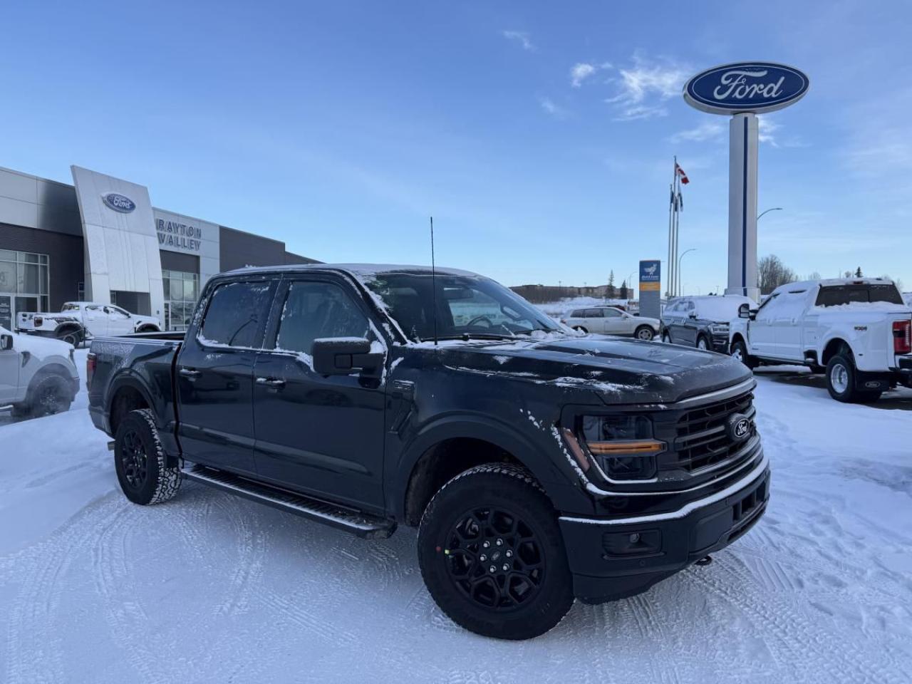 New 2025 Ford F-150 XLT for sale in Drayton Valley, AB