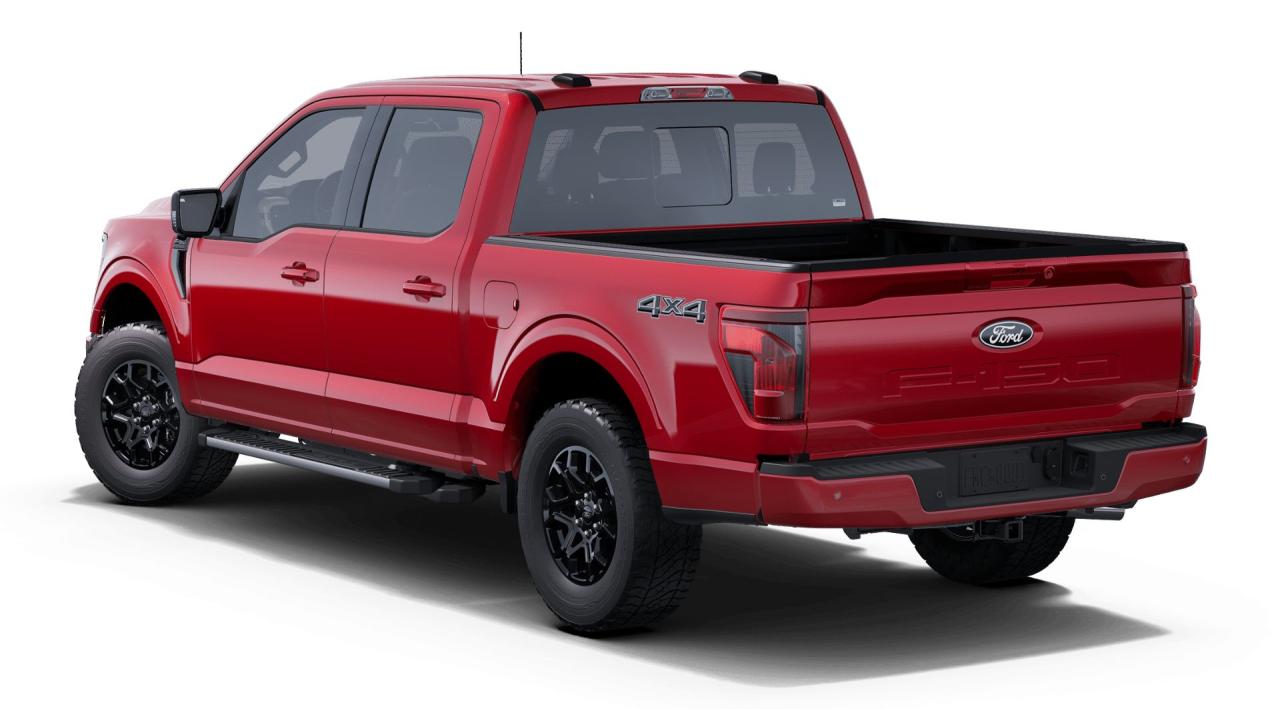 2025 Ford F-150 XLT Photo