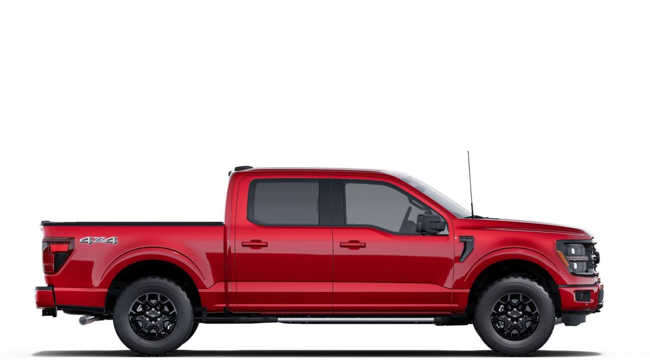 2025 Ford F-150 XLT Photo4