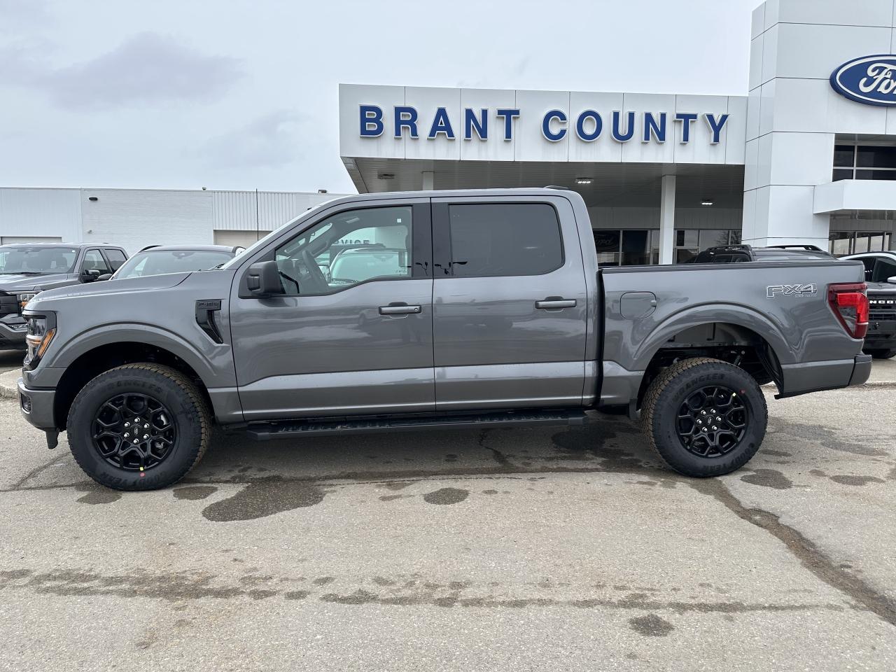 2025 Ford F-150 XLT Photo3