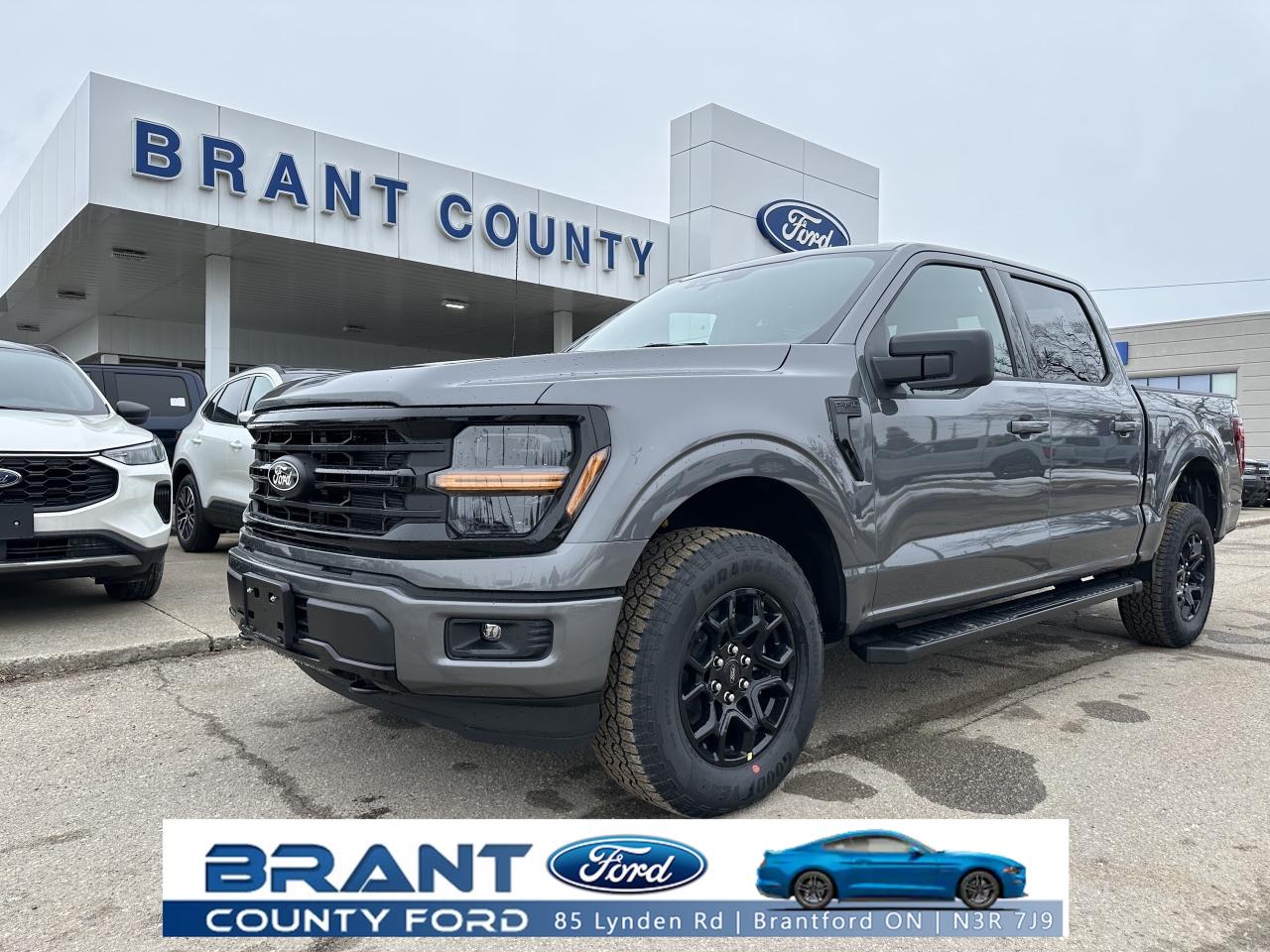 2025 Ford F-150 XLT Photo0