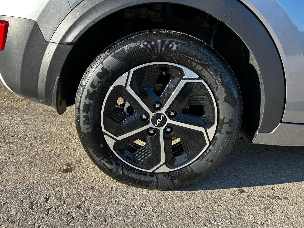 12156951