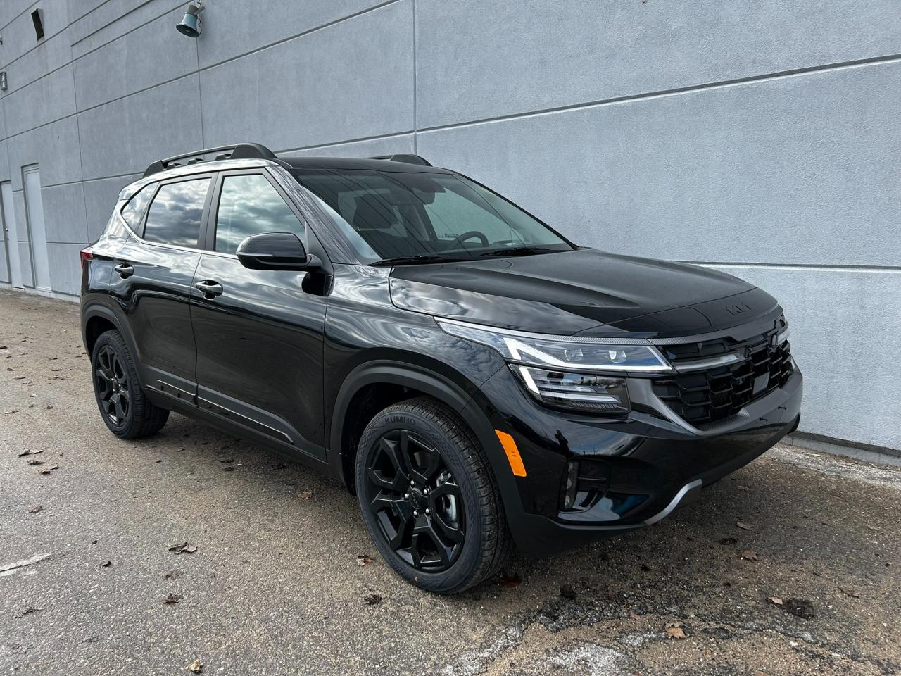 New 2025 Kia Seltos X-LINE for sale in Listowel, ON