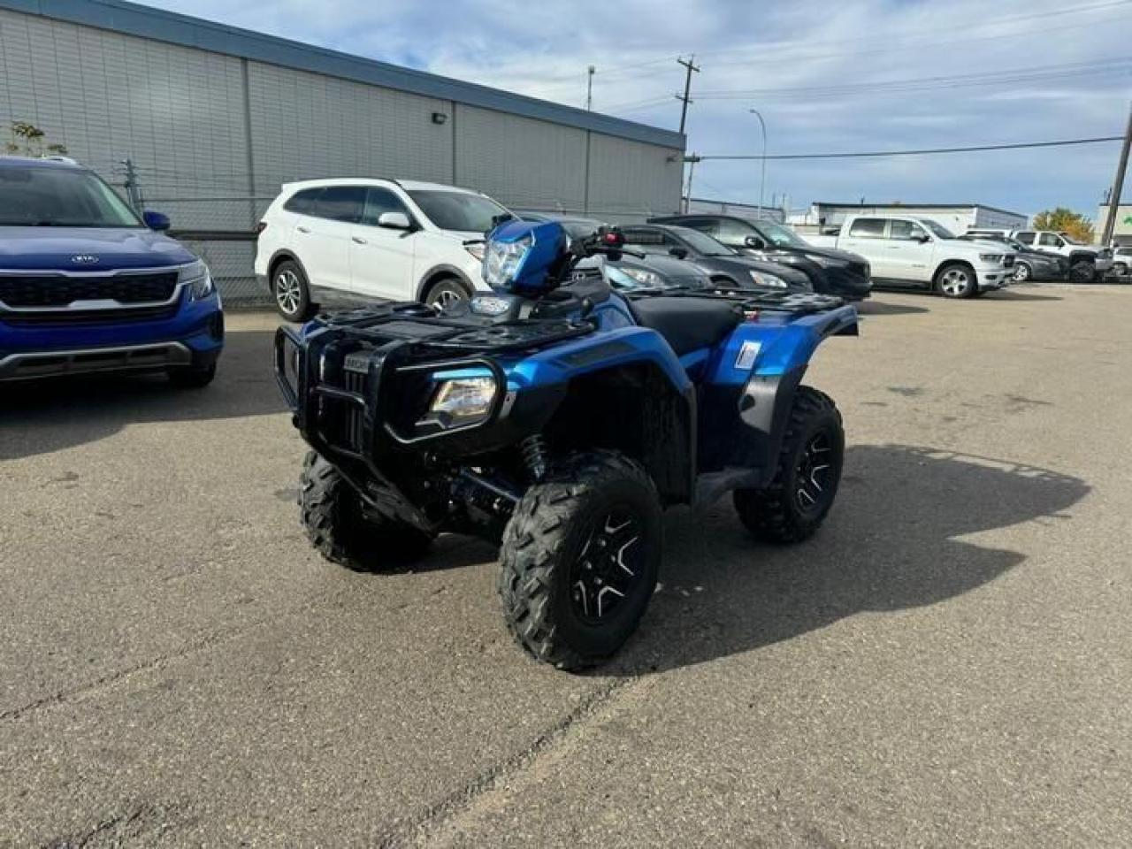 2022 Honda Rubicon DCT IRS EPS $109 B/W - Photo #1