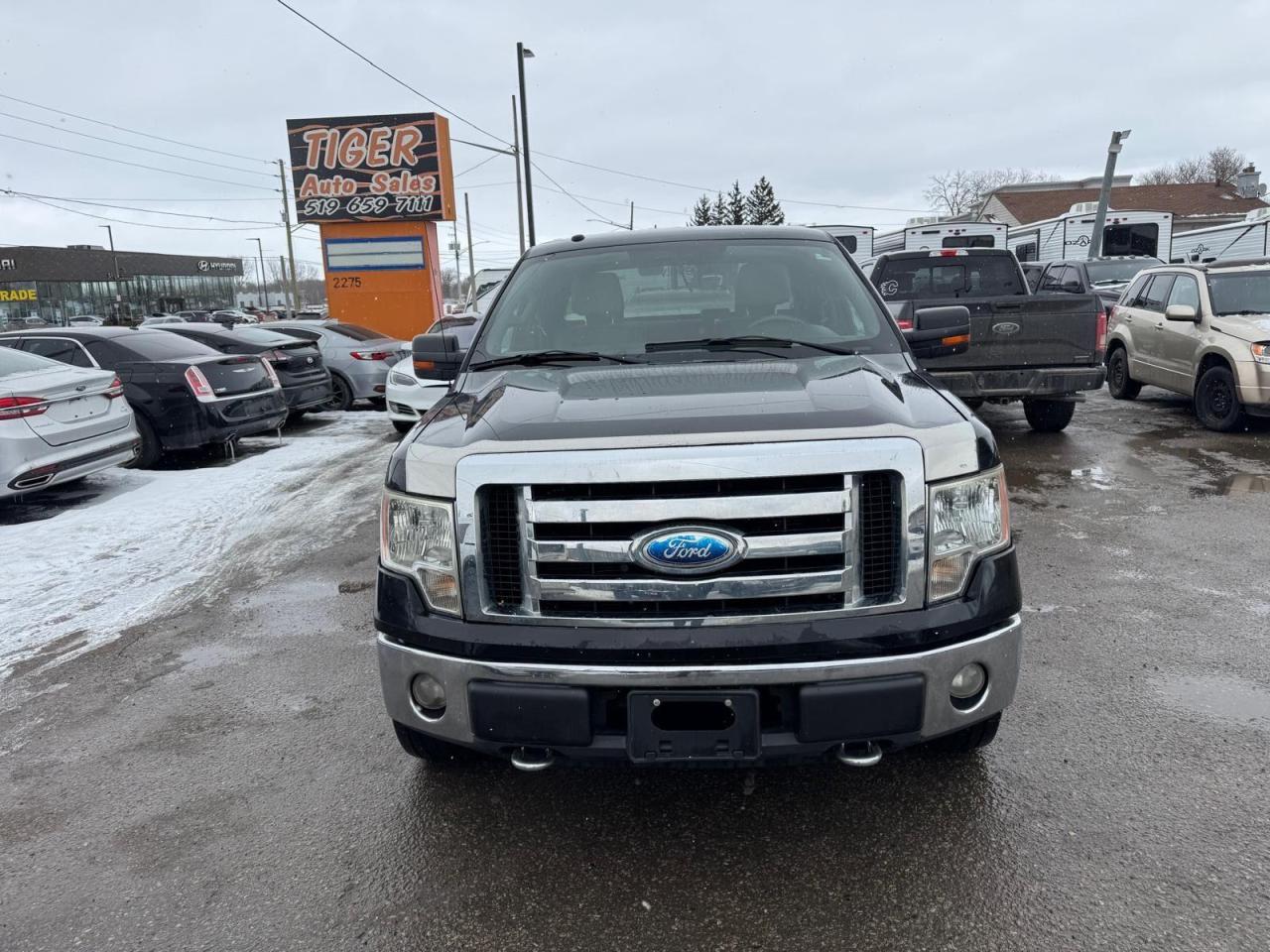 2009 Ford F-150 XLT, 4X4, 5.4 V8, WELL MAINTAINED, CERTIFIED - Photo #8