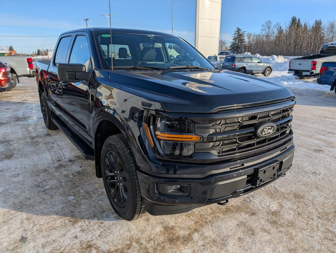 2025 Ford F-150 XLT Photo