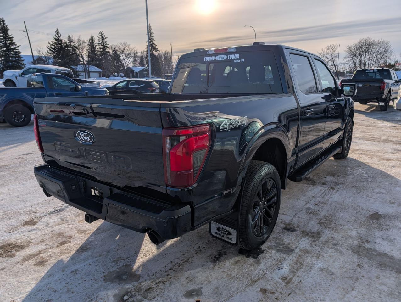 2025 Ford F-150 XLT Photo5