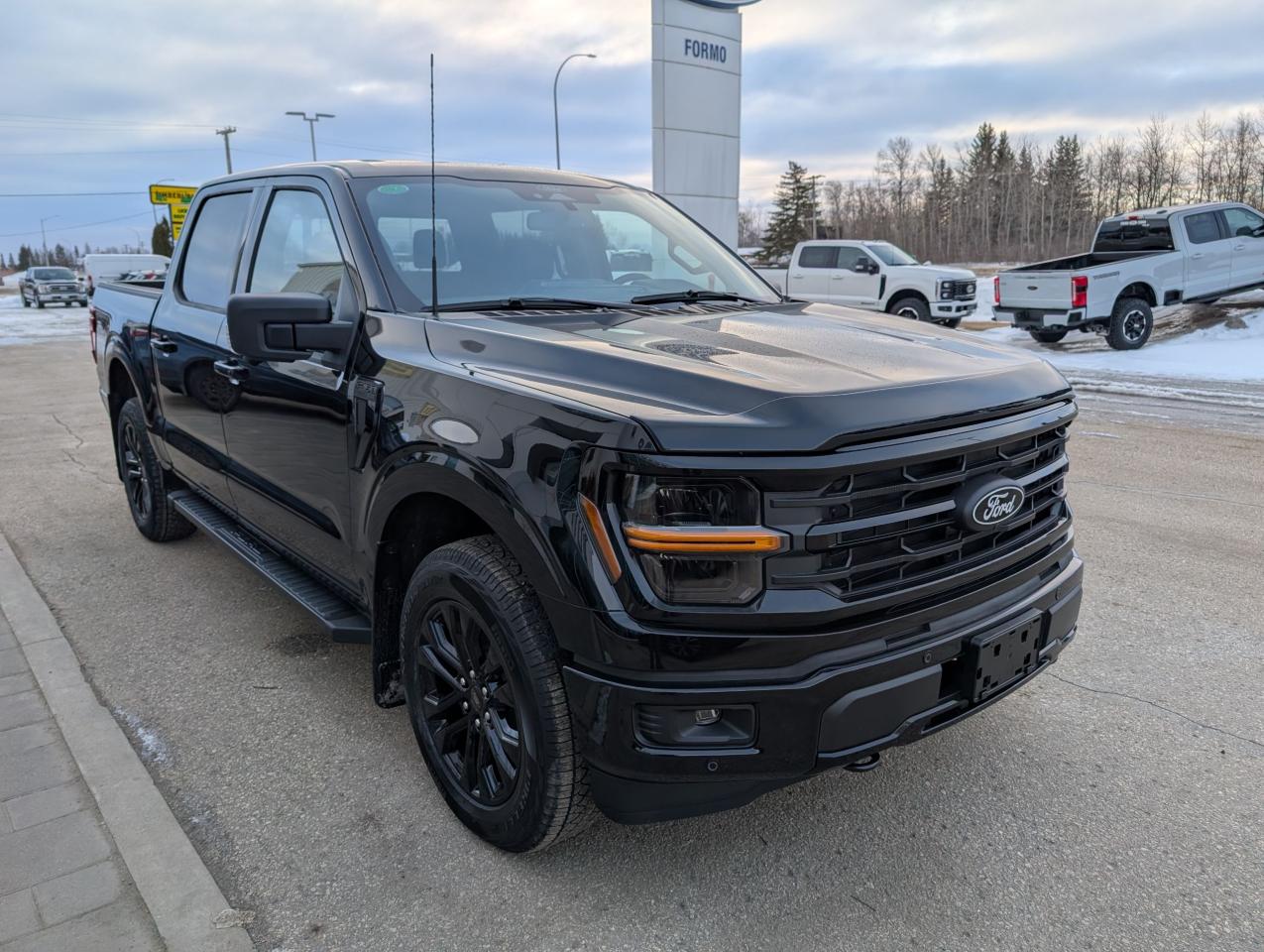 2025 Ford F-150 XLT Photo