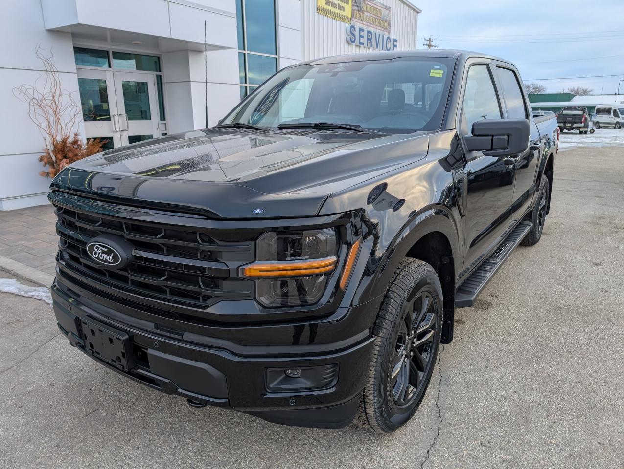 2025 Ford F-150 XLT Photo1