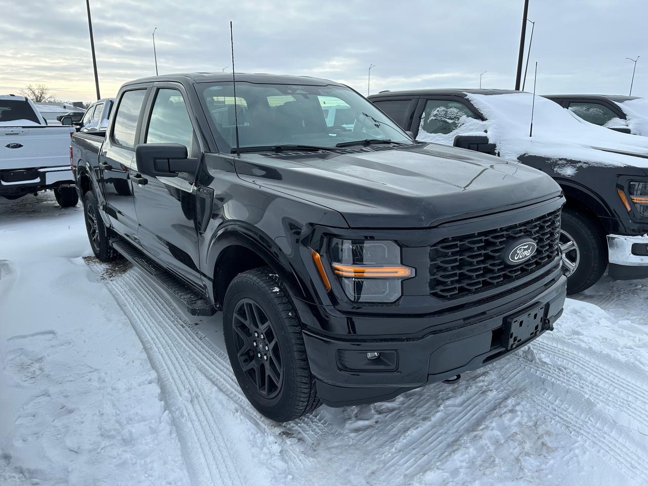 2025 Ford F-150 STX 4WD SuperCrew 5.5' Box 200A Photo