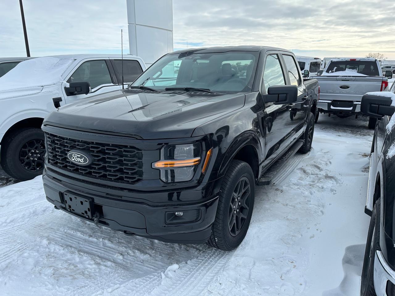 New 2025 Ford F-150 STX 4WD SuperCrew 5.5' Box 200A for sale in Elie, MB