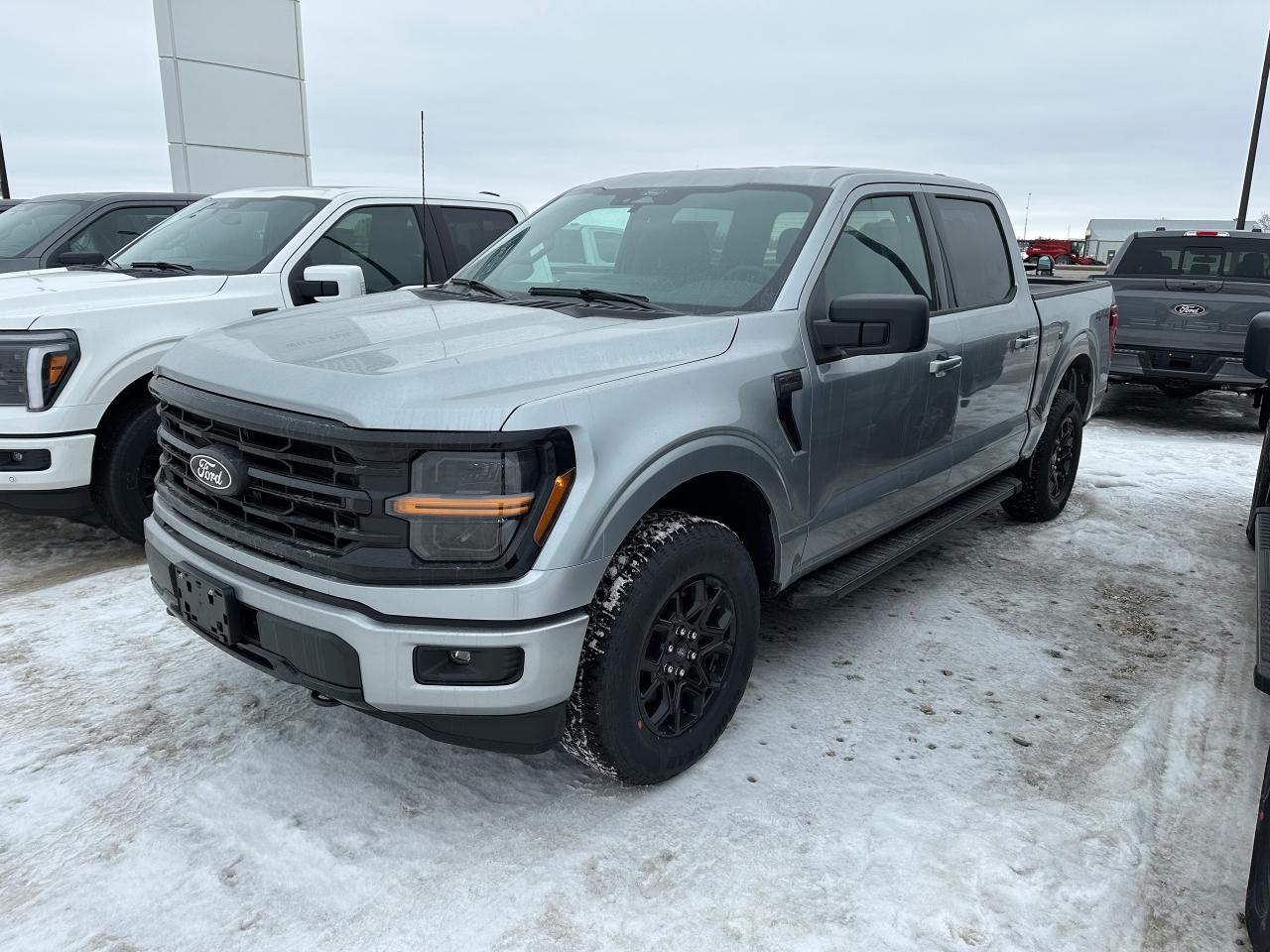 New 2025 Ford F-150 XLT 4WD SuperCrew 5.5' Box 301A for sale in Elie, MB