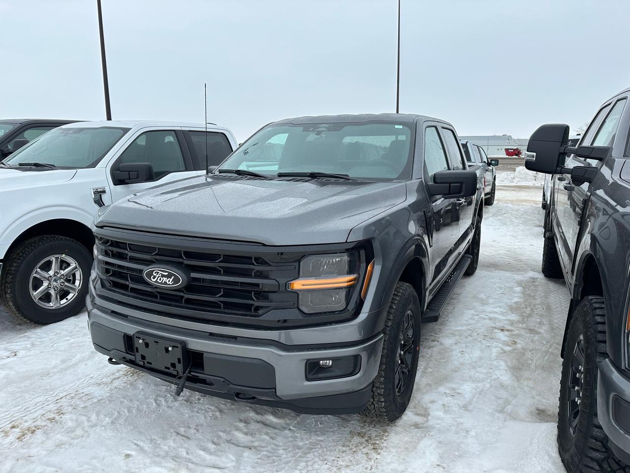 2025 Ford F-150 XLT 4WD SuperCrew 5.5' Box 301A Photo1