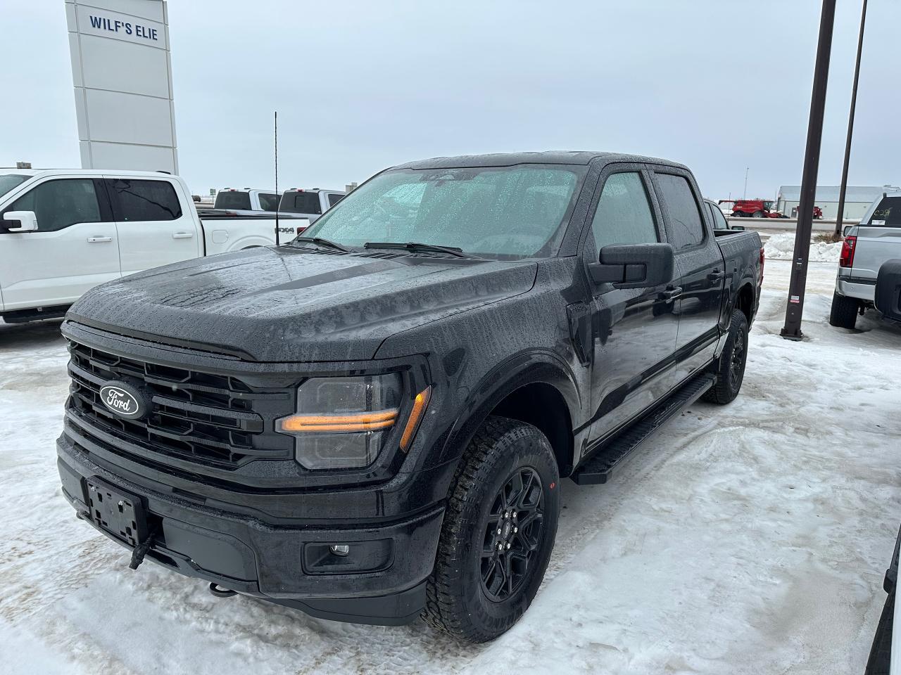 New 2025 Ford F-150 XLT 4WD SuperCrew 5.5' Box 301A for sale in Elie, MB