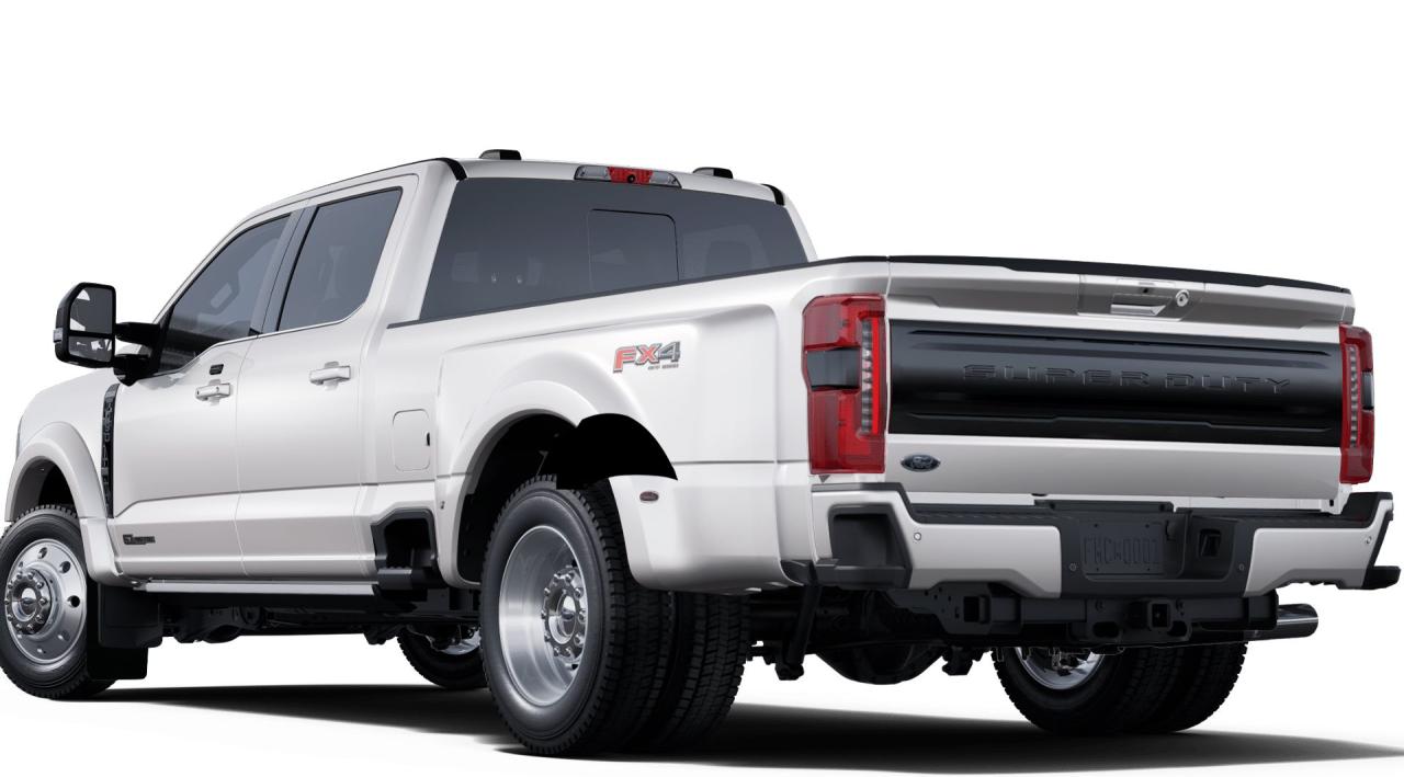 2025 Ford SUPERDUTY F-450® Platinum® 8' Box 773A Photo