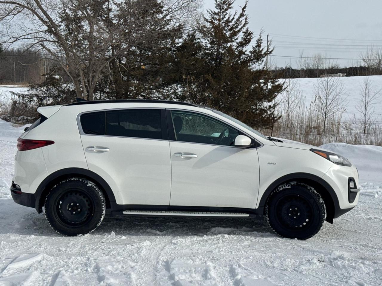 2020 Kia Sportage EX AWD | CLEAN CARFAX | ONE OWNER | PANO | CARPLAY Photo5
