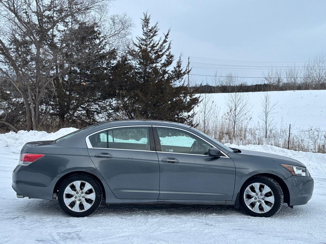 2010 Honda Accord EX-L | CLEAN CARFAX | LEATHER | SUNROOF | ALLOYS | Photo5