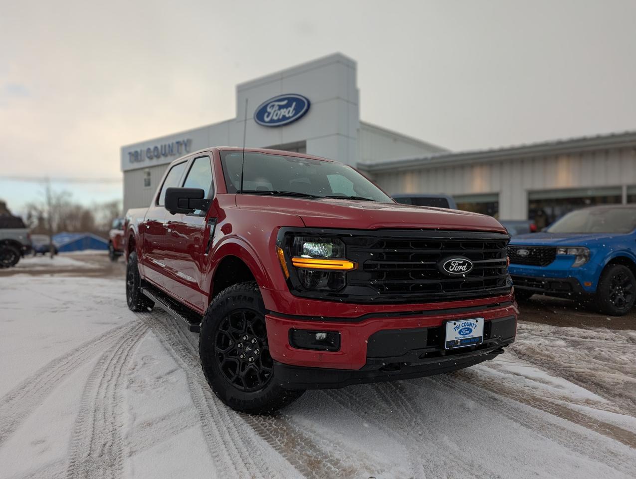 New 2025 Ford F-150 XLT for sale in Tatamagouche, NS