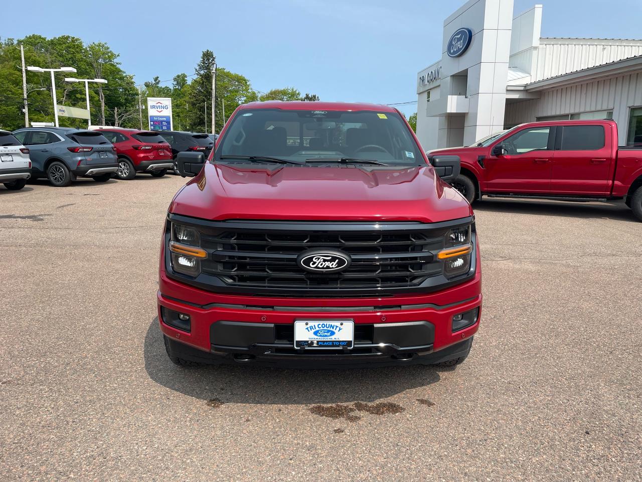 2025 Ford F-150 XLT Photo1