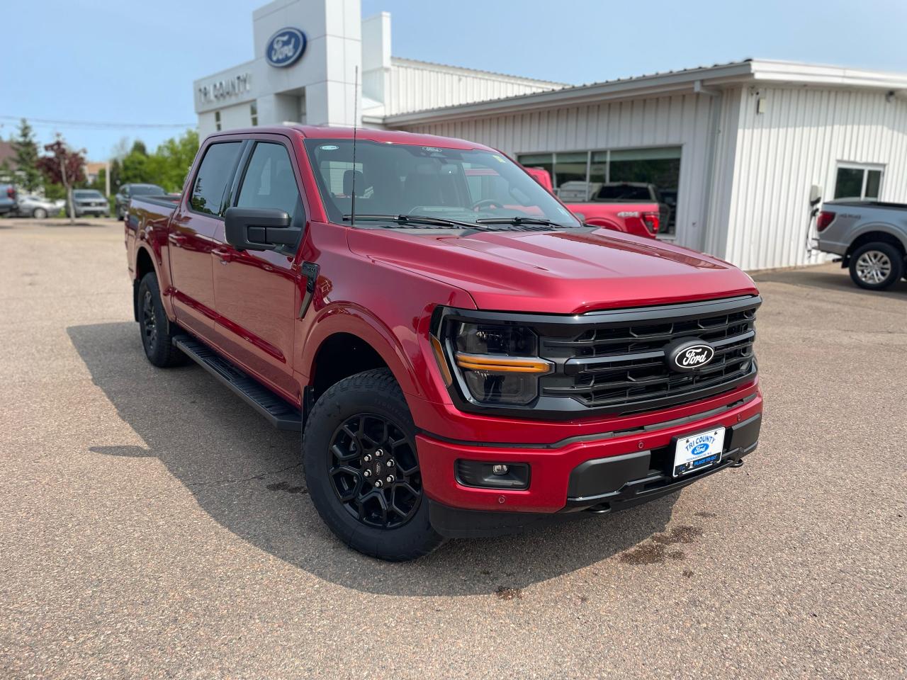New 2025 Ford F-150 XLT for sale in Tatamagouche, NS