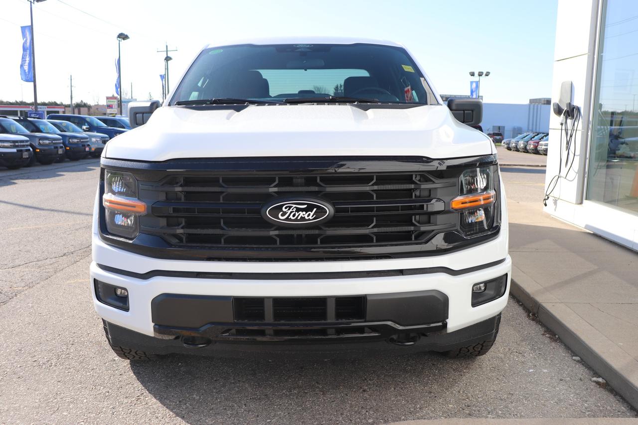 2025 Ford F-150 XLT 4WD SuperCrew 5.5' Box Photo5