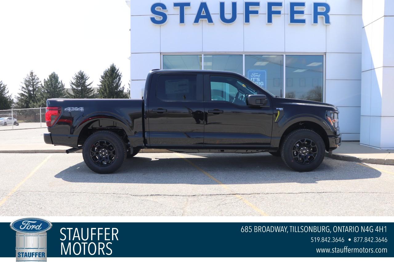2025 Ford F-150 STX 4WD SuperCrew 5.5' Box Photo0